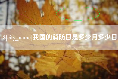 荆门我国的消防日是多少月多少日