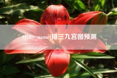 荆门排三九宫图预测