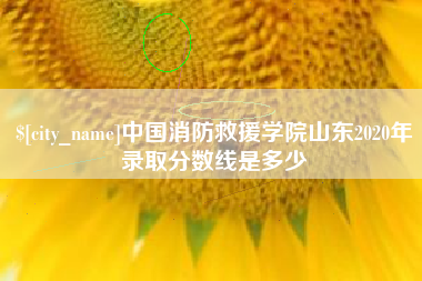 荆门中国消防救援学院山东2020年录取分数线是多少
