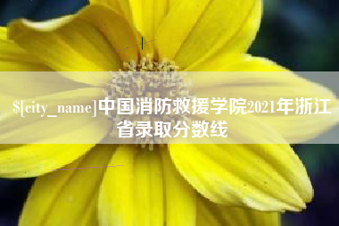 荆门中国消防救援学院2021年浙江省录取分数线