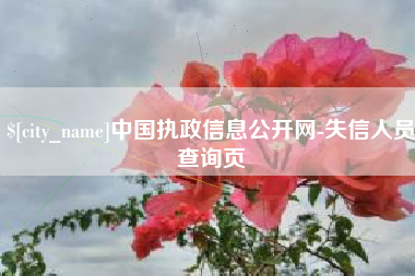 荆门中国执政信息公开网-失信人员查询页
