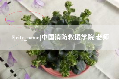 荆门中国消防救援学院 老师
