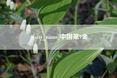 荆门中国第9金