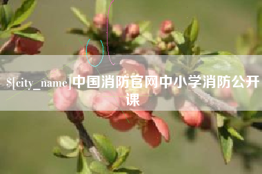 荆门中国消防官网中小学消防公开课