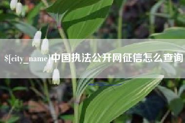 荆门中国执法公开网征信怎么查询