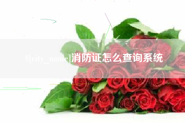荆门消防证怎么查询系统