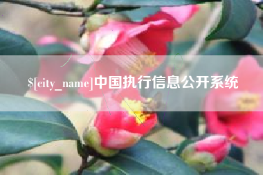 荆门中国执行信息公开系统