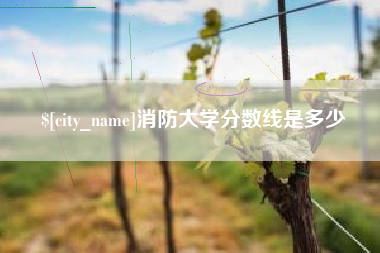荆门消防大学分数线是多少