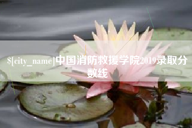 荆门中国消防救援学院2019录取分数线