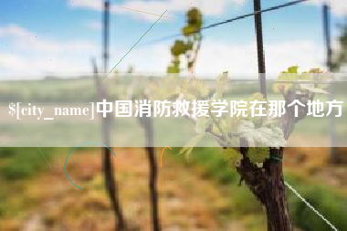 荆门中国消防救援学院在那个地方
