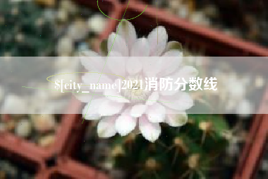 荆门2021消防分数线