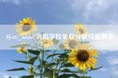 荆门消防学校录取分数线是多少