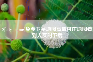 荆门免费卫星地图高清村庄地图看到人实时下载
