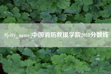 荆门中国消防救援学院2018分数线