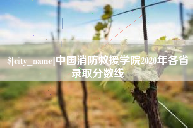 荆门中国消防救援学院2020年各省录取分数线