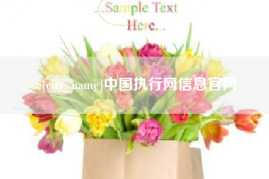 荆门中国执行网信息官网