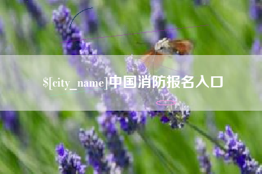 荆门中国消防报名入口