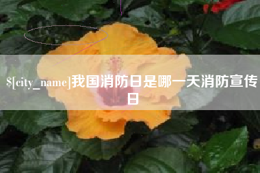 荆门我国消防日是哪一天消防宣传日