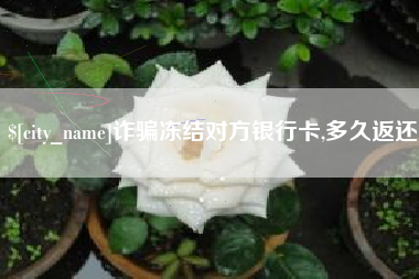 荆门诈骗冻结对方银行卡,多久返还