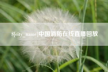 荆门中国消防在线直播回放
