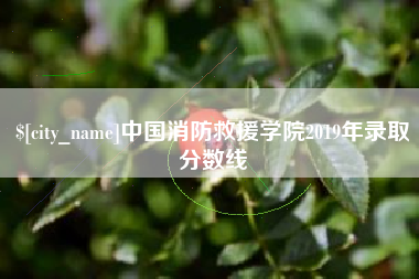 荆门中国消防救援学院2019年录取分数线