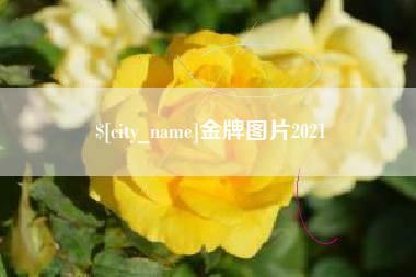 荆门金牌图片2021