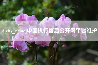 荆门中国执行信息公开网平台维护