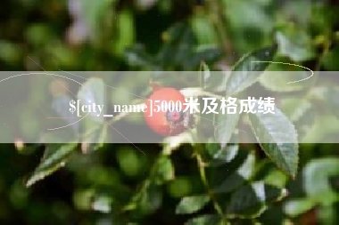 荆门5000米及格成绩