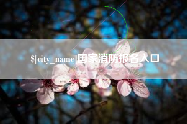 荆门国家消防报名入口