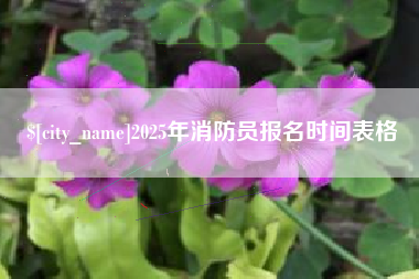 荆门2025年消防员报名时间表格