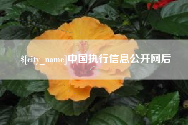 荆门中国执行信息公开网后