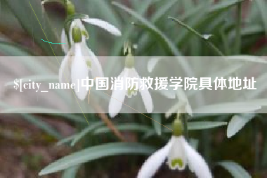 荆门中国消防救援学院具体地址