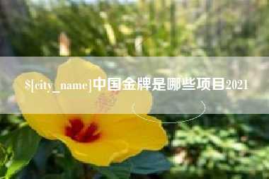 荆门中国金牌是哪些项目2021