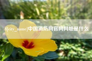 荆门中国消防网官网网址是什么