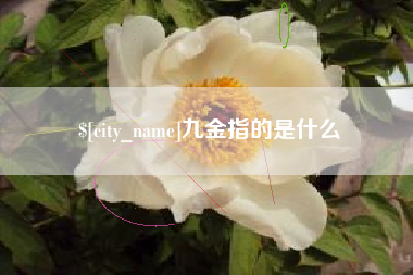 荆门九金指的是什么