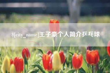 荆门王子豪个人简介乒乓球