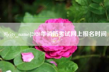 荆门2020年消防考试网上报名时间