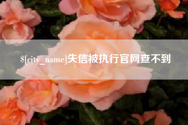 荆门失信被执行官网查不到