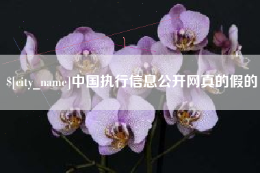荆门中国执行信息公开网真的假的