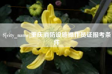 荆门重庆消防设施操作员证报考条件