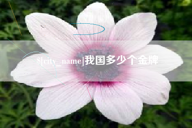 荆门我国多少个金牌
