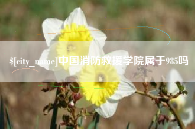荆门中国消防救援学院属于985吗