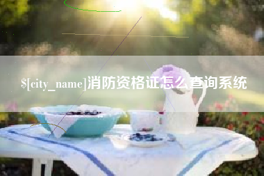 荆门消防资格证怎么查询系统