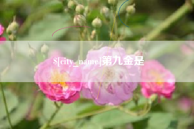 荆门第九金是