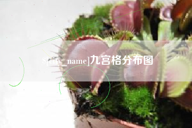 荆门九宫格分布图