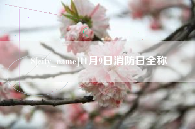 荆门11月9日消防日全称