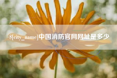 荆门中国消防官网网址是多少