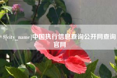 荆门中国执行信息查询公开网查询官网