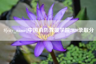 荆门中国消防救援学院2020录取分