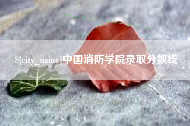荆门中国消防学院录取分数线